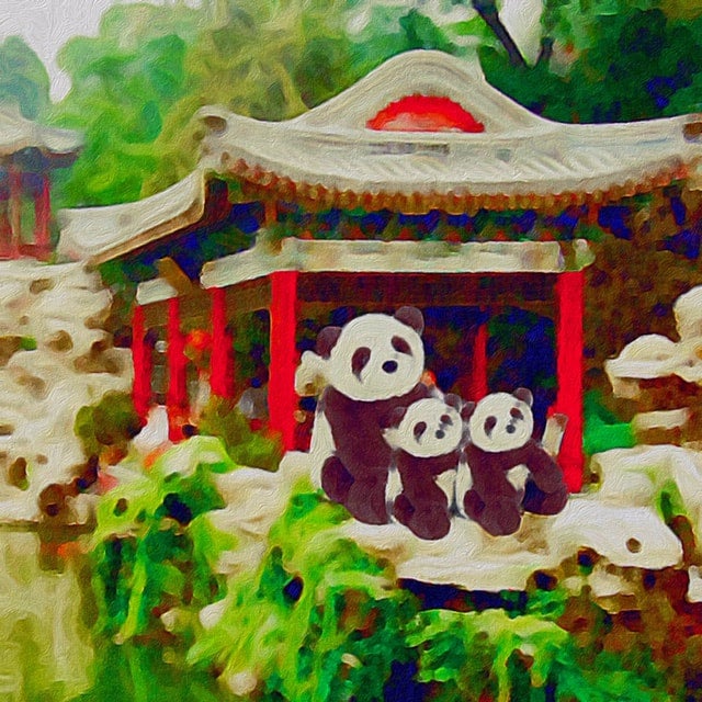Pandamonium | Thorbourne Baby